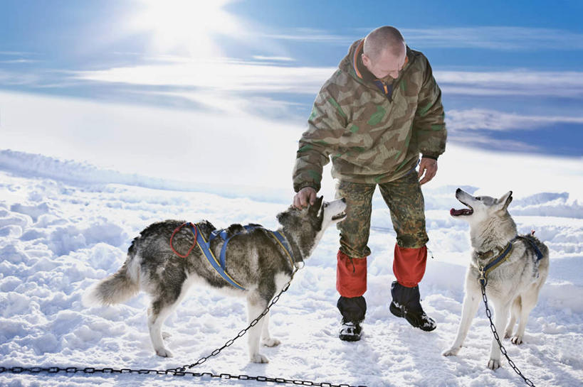 西方人,一个人,站,摸,横图,室外,白天,正面,雪,大雪,宠物,狗,欧洲,欧洲人,仅一个男性,仅一个人,仅一个中年男性,抚摸,弯腰,阴影,服装,光线,影子,积雪,雪景,云,云朵,冬季,冬天,云彩,注视,衣服,蓝色,白云,蓝天,天空,阳光,动物,天,低头,观察,看,站着,两只,温暖,棉衣,寒冷,可爱,哈士奇,哈士奇犬,服饰,晴朗,观看,保暖,察看,御寒,关注,西伯利亚雪橇犬,雪橇犬,狗链,忠诚,棉袄,弯身,严寒,哈士奇狗,西伯利亚哈士奇,棉服,冬装,男人,男性,中年男性,白种人,晴空,犬,触摸,接触,站立,彩图,全身,袄子,棉被服