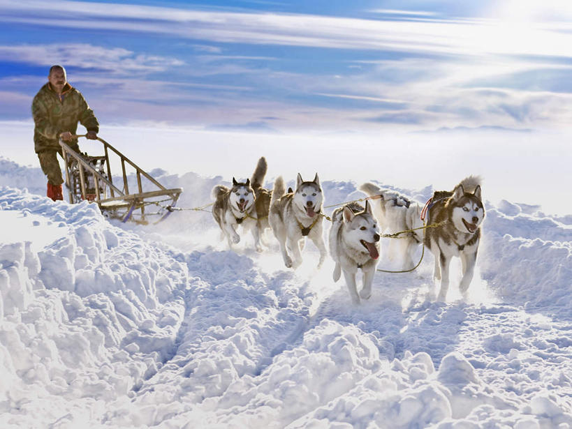 西方人,一个人,推,横图,室外,白天,正面,宠物,狗,欧洲,欧洲人,仅一个男性,仅一个人,仅一个中年男性,许多,奔驰,阴影,服装,光线,影子,云,云朵,云彩,注视,车,衣服,蓝色,白云,蓝天,天空,阳光,动物,交通工具,天,奔跑,观察,看,温暖,棉衣,可爱,哈士奇,哈士奇犬,服饰,晴朗,观看,保暖,雪橇,察看,御寒,关注,载具,西伯利亚雪橇犬,雪橇犬,雪橇车,忠诚,棉袄,哈士奇狗,西伯利亚哈士奇,棉服,冬装,男人,男性,中年男性,白种人,晴空,犬,彩图,全身,袄子,棉被服