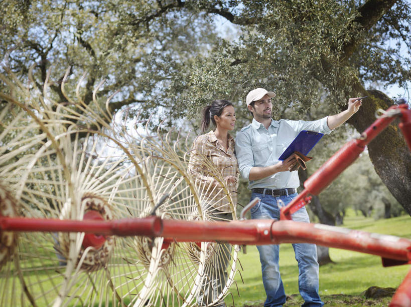 西方人,中年人,两个人,家庭,夫妻,农场,站,举,笑,微笑,露齿笑,横图,室外,白天,正面,爱情,畜牧业,牧场,收割,草地,草坪,植物,帽子,欧洲,欧洲人,一辆,握,阴影,服装,光线,材料,档案,工具,文件,影子,浪漫,拿,拿着,注视,休闲装,运动帽,草,树,树木,衣服,红色,绿色,白色,阳光,自然,资料,观察,看,靠,靠着,托,站着,休闲,温暖,温馨,一家人,休闲服,鸭舌帽,恩爱,握着,恋人,服饰,生长,成长,观看,和睦,察看,关注,文档,记录板,收割机,农具,记事板,畜牧,牧业,一顶,脱粒,男人,男性,女人,女性,中年男性,中年女性,白种人,夫妇,情侣,举起,举手,举着,向上举,向上伸,向上托,站立,半身,彩图,伴侣,融洽
