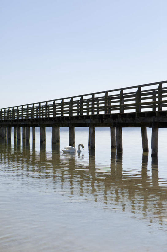 无人,栏杆,竖图,室外,白天,正面,旅游,度假,湖,湖泊,美景,水,鸟,野生动物,天鹅,德国,欧洲,阴影,波纹,光线,鸟类,木板,影子,湖面,景观,水流,水面,围栏,桥,木桥,涟漪,注视,娱乐,护栏,栈桥,一只,蓝色,白色,倒影,蓝天,水纹,天空,阳光,自然,动物,波浪,湖水,天,观察,看,享受,休闲,景色,放松,可爱,晴朗,观看,人行桥,木板桥,淡水湖,察看,倒映,西欧,关注,自然风光,万里无云,德意志联邦共和国,水晕,巴伐利亚,巴伐利亚州,拜恩州,拜恩自由州,反照,阿默尔湖,阿默湖,晴空,晴空万里,鹄,彩图