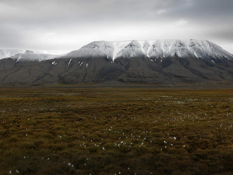 无人,横图,室外,白天,正面,旅游,度假,草地,草坪,美景,山,雪,雪山,植物,大雪,挪威,欧洲,冰,积雪,景观,山峰,雪景,云,云朵,冬季,冬天,山峦,云彩,娱乐,草,蓝色,绿色,白云,蓝天,天空,自然,天,享受,休闲,景色,放松,寒冷,晴朗,冰冷,斯堪的纳维亚,自然风光,北欧,斯堪的那维亚,斯堪的那维亚半岛,斯堪的纳维亚半岛,严寒,冰凉,酷寒,凛冽,凛凛,极冷,挪威王国,斯瓦尔巴特群岛,晴空,彩图