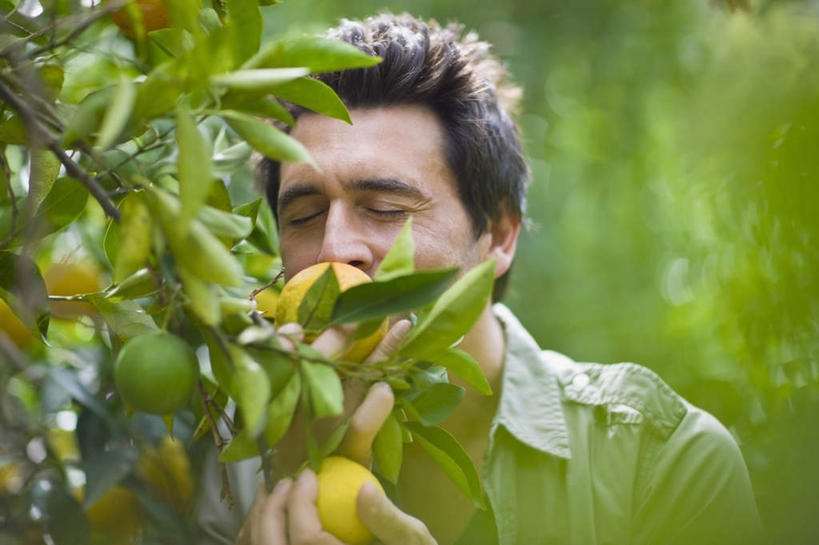 西方人,脸,头,脸颊,手,一个人,站,闭眼,横图,室外,特写,白天,正面,柑橘,水果,叶子,欧洲,欧洲人,仅一个男性,仅一个人,仅一个中年男性,吊挂,握,悬挂,服装,朦胧,模糊,新鲜,生食,食品,果实,绿叶,挂,拿,拿着,休闲装,闻,肩膀,食物,衣服,站着,休闲,手部,休闲服,嫩叶,握着,服饰,有机食品,绿色食品,嗅,男人,男性,中年男性,白种人,头部,脸部,脸蛋,面部,叶,叶片,橘子,桔子,橙子,橙,闭眼睛,闭着眼,闭着眼睛,站立,半身,彩图