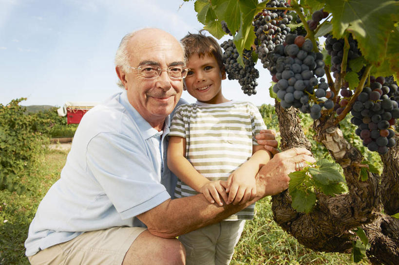 西方人,儿童,老年人,两个人,家庭,祖父,果园,站,蹲,抱,笑,摸,微笑,露齿笑,横图,室外,白天,正面,衬衫,纯洁,草地,草坪,田园,植物,葡萄,水果,欧洲,欧洲人,抚摸,阴影,服装,新鲜,光线,眼镜,影子,云,云朵,生食,食品,果实,云彩,注视,休闲装,葡萄园,架子,草,食物,小孩,衣服,蓝色,绿色,白云,蓝天,天空,阳光,庄园,天,观察,看,站着,休闲,温暖,温馨,一家人,休闲服,可爱,童年,童趣,服饰,有机食品,绿色食品,晴朗,爷爷,抱着,观看,祖孙,老花镜,支撑,固定,和睦,察看,搂着,关注,葡萄架,童真,烂漫,无邪,外公,外祖父,外孙,外孙子,远视眼镜,天真,老年男性,男孩,男人,男性,白种人,孩子,孙子,晴空,山葫芦,蒲桃,草龙珠,触摸,蹲着,接触,搂,站立,半身,彩图,衬衣,融洽,男生