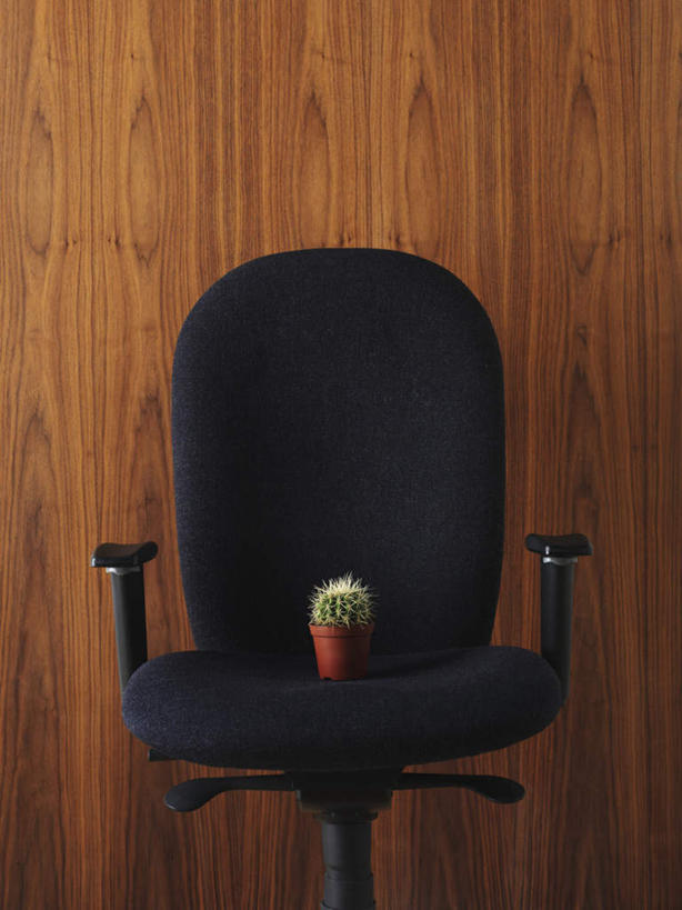 无人,竖图,室内,特写,白天,正面,植物,仙人掌,椅子,花盆,木制,火焰,盆栽,墙,草药,盆景,中药,墙壁,墙面,绿色,黑色,自然,会议椅,木制品,摄影,影棚,生长,成长,办公椅,药材,中草药,中药材,本草,牛舌头,商务椅,培训椅,玉芙蓉,仙巴掌,火掌,霸王树,彩图,影棚拍摄,拍摄