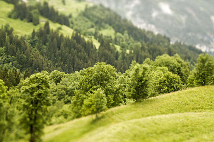 无人,横图,室外,白天,正面,旅游,度假,草地,草坪,美景,山,山脉,树林,植物,瑞士,欧洲,景观,山峰,山峦,首都,娱乐,伯尔尼,草,树,树木,绿色,自然,群山,享受,休闲,景色,放松,生长,成长,自然风光,中欧,瑞士联邦,伯尔尼州,格林德瓦,因特拉肯,彩图