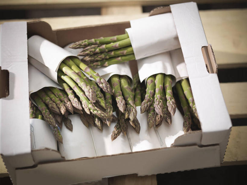 无人,横图,俯视,室内,特写,白天,芦笋,蔬菜,一堆,许多,阴影,堆叠,堆积,新鲜,反射,包装,影子,纸箱,绿芦笋,食品,很多,食物,容器,箱子,有机食品,绿色食品,堆,纸板箱,包装箱,猪尾巴,药鸡豆子,石刁柏,蚂蚁杆,龙须菜,狼尾巴根,彩图,高角度拍摄