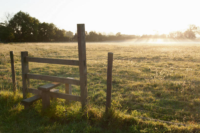 无人,农场,栏杆,横图,室外,白天,正面,旅游,度假,畜牧业,牧场,草地,草坪,美景,树林,太阳,植物,英国,欧洲,阴影,光线,影子,栅栏,景观,篱笆,围栏,娱乐,护栏,英格兰,草,树,树木,绿色,天空,阳光,自然,天,享受,休闲,景色,放松,生长,成长,西欧,自然风光,大不列颠,畜牧,大不列颠及北爱尔兰联合王国,牧业,英吉利,诺坦普顿,彩图,大不列颠王国,大英帝国,联合王国,日不落帝国