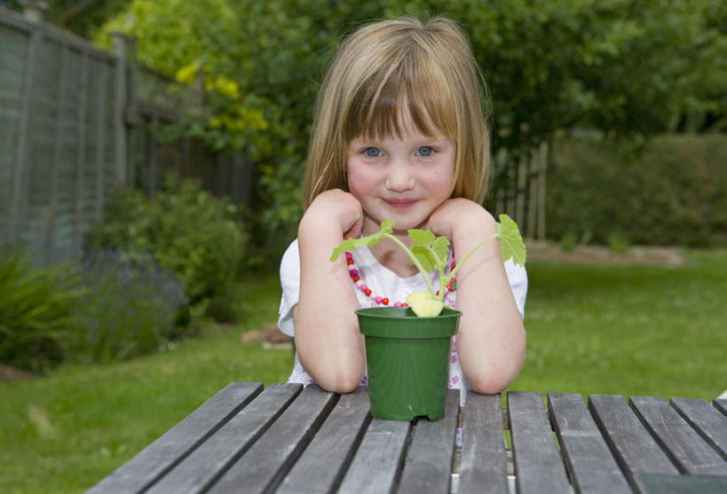 西方人,儿童,一个人,坐,笑,微笑,横图,室外,白天,正面,纯洁,草地,草坪,植物,桌面,桌子,花盆,欧洲,欧洲人,仅一个女性,仅一个人,撑,条纹,服装,木制,盆栽,墙,庭院,围墙,院子,盆景,托腮,注视,休闲装,幼苗,墙壁,墙面,草,树,树木,小孩,衣服,绿色,自然,木制品,嫩芽,观察,看,托,仅一个小孩,休闲,休闲服,金色,可爱,童年,童趣,服饰,生长,成长,观看,察看,关注,托下巴,童真,烂漫,无邪,新苗,天真,女孩,女人,女性,白种人,孩子,长发,坐着,半身,彩图,女生