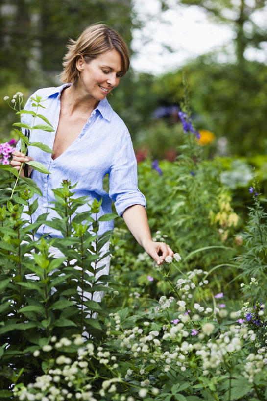 西方人,一个人,站,笑,微笑,露齿笑,竖图,室外,白天,正面,采摘,草地,草坪,花海,花圃,植物,叶子,欧洲,欧洲人,仅一个女性,仅一个人,服装,盛开,棕色,花蕾,注视,休闲装,草,花,花瓣,花朵,花卉,鲜花,树,树木,衣服,蓝色,绿色,自然,花丛,花束,花田,春季,春天,花苞,花蕊,观察,看,站着,仅一个中年女性,休闲,休闲服,服饰,生长,成长,观看,生机,察看,生命,关注,春日,女人,女性,中年女性,白种人,卷发,站立,半身,彩图