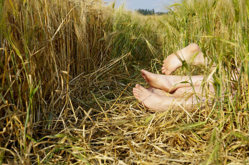 西方人,两个人,夫妻,农田,躺,横图,室外,白天,侧面,爱情,庄稼,农作物,欧洲,欧洲人,浪漫,麦田,光脚,蓝色,蓝天,天空,天,赤脚,恩爱,恋人,晴朗,万里无云,卧着,男人,男性,年轻女性,女人,女性,中年男性,白种人,夫妇,情侣,晴空,晴空万里,躺着,卧,半身,彩图,耕地,庄稼田,伴侣