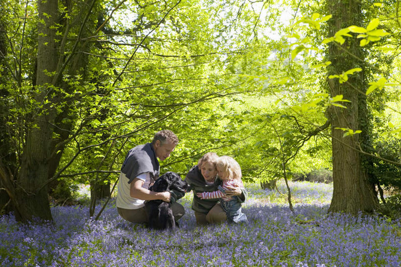 西方人,儿童,中年人,三个人,家庭,夫妻,母亲,父亲,女儿,蹲,笑,摸,微笑,露齿笑,横图,室外,白天,侧面,爱情,纯洁,草地,草坪,花海,花圃,植物,风信子,宠物,狗,叶子,欧洲,欧洲人,抚摸,阴影,服装,盛开,光线,包,皮包,影子,浪漫,花蕾,注视,休闲装,草,花,花瓣,花朵,花卉,鲜花,树,树木,一只,小孩,衣服,绿色,紫色,阳光,自然,动物,花丛,花束,花田,花苞,花蕊,观察,看,休闲,温暖,温馨,父女,母女,三口之家,一家人,休闲服,恩爱,父爱,可爱,母爱,童年,童趣,搭,恋人,服饰,生长,成长,观看,悲伤,喜悦,单肩包,和睦,察看,风信花,搭着,关注,怀念,童真,烂漫,无邪,忠诚,悲哀,天真,男人,男性,女孩,女人,女性,中年男性,中年女性,白种人,孩子,夫妇,情侣,犬,触摸,蹲着,接触,彩图,全身,伴侣,融洽,女生