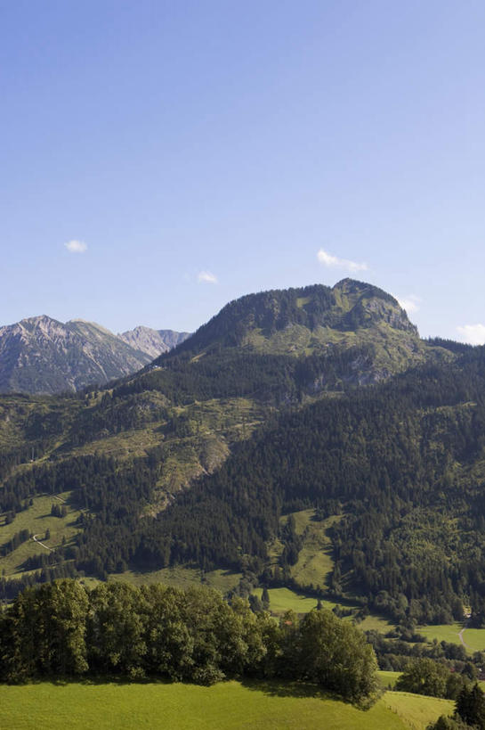 无人,竖图,室外,白天,正面,旅游,度假,草地,草坪,美景,山,山脉,树林,植物,德国,欧洲,景观,山峰,山峦,娱乐,草,树,树木,蓝色,绿色,蓝天,天空,自然,群山,天,享受,休闲,景色,放松,生长,晴朗,成长,西欧,自然风光,万里无云,德意志联邦共和国,巴伐利亚,巴伐利亚州,拜恩州,拜恩自由州,晴空,晴空万里,彩图