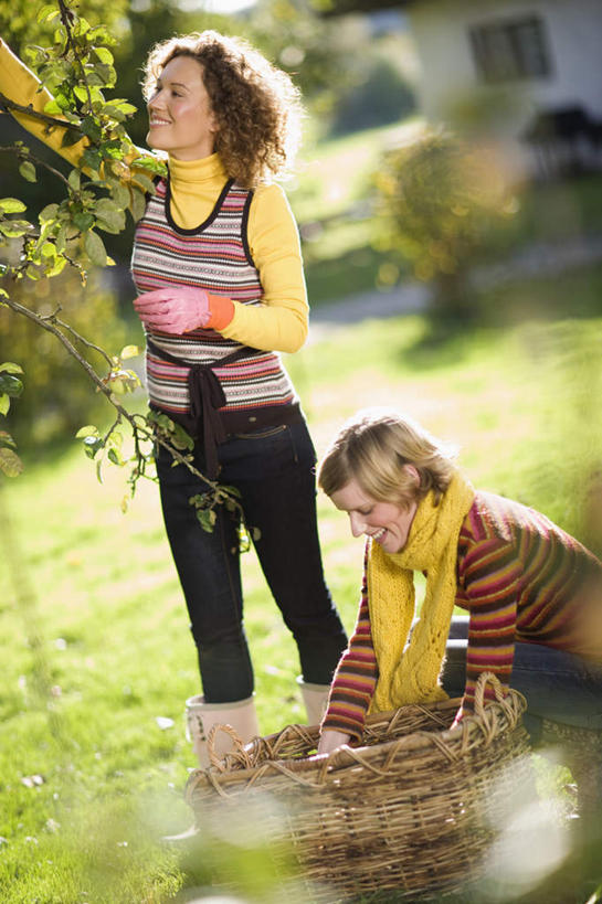 西方人,两个人,伙伴,朋友,果园,站,蹲,举,笑,交叉,微笑,露齿笑,竖图,室外,白天,正面,友谊,安全,合作,团队,草地,草坪,田园,植物,竹子,橄榄,水果,欧洲,欧洲人,一条,握,阴影,竹制,服装,朦胧,模糊,新鲜,装饰,编织,光线,篮子,影子,生食,食品,果实,果树,防护,拿,拿着,注视,休闲装,草,树,树木,食物,衣服,绿色,阳光,自然,手套,围巾,竹篮,观察,看,托,站着,休闲,温暖,休闲服,战略,握着,服饰,有机食品,绿色食品,生长,成长,围脖,观看,竹条,保暖,保护,华丽,交织,点缀,察看,竹制品,御寒,关注,保险,田庄,保全,周全,安稳,安定,联合,合谋,衬托,美观,雅致,雅观,防护手套,穿插,园子,配合,平安,协作,年轻女性,女人,女性,白种人,青果,白榄,蹲着,举起,举手,举着,向上举,向上伸,向上托,站立,半身,彩图