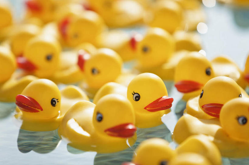 无人,体育馆,游泳池,横图,俯视,室外,特写,白天,游戏,水,玩具,许多,阴影,朦胧,模糊,光线,鸭子,影子,水池,水面,很多,玩,娱乐,泳池,黄色,阳光,休闲,橡胶,益智,活动,游泳馆,发泄,消遣,智力,橡胶制品,宣泄,橡胶小鸭,橡皮小鸭,玩耍,嬉戏,彩图,高角度拍摄