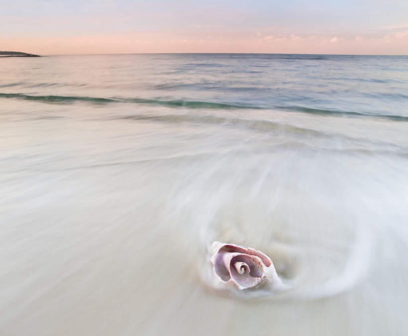 无人,横图,室外,白天,正面,旅游,度假,海浪,海洋,美景,日落,沙滩,贝壳,沙子,海岸,景观,浪花,水平线,晚霞,霞光,落日,辽阔,海平线,沙地,娱乐,自然,海水,黄昏,享受,休闲,广阔,景色,彩霞,南美,放松,一望无际,南美洲,西印度群岛,拉丁美洲,自然风光,美洲,海景,亚美利加洲,南亚美利加洲,无边无际,一马平川,夕照,贝类外壳,海螺壳,软体动物外壳,大海,风浪,海,海水的波动,海滩,近岸浪,涌浪,夕阳,彩图,水天相接,水天一线,巴哈马群岛,斜阳