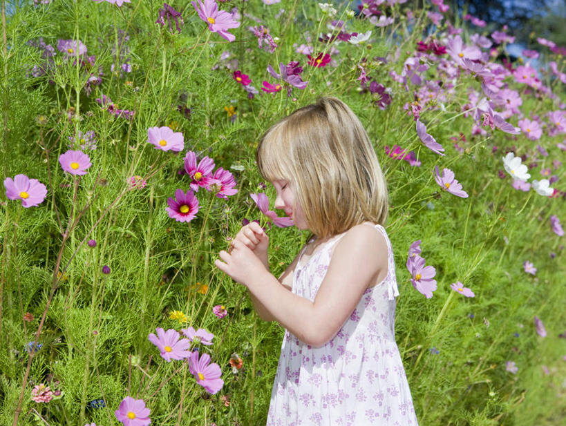 西方人,儿童,一个人,站,横图,室外,白天,侧面,纯洁,花海,花圃,植物,叶子,欧洲,欧洲人,仅一个女性,仅一个人,握,服装,盛开,拿,花蕾,拿着,注视,休闲装,闻,花,花瓣,花朵,花卉,鲜花,小孩,衣服,绿色,花丛,花束,花田,花苞,花蕊,观察,看,站着,仅一个小孩,休闲,休闲服,可爱,童年,童趣,握着,服饰,观看,察看,嗅,关注,童真,烂漫,无邪,天真,女孩,女人,女性,白种人,孩子,站立,半身,彩图,女生