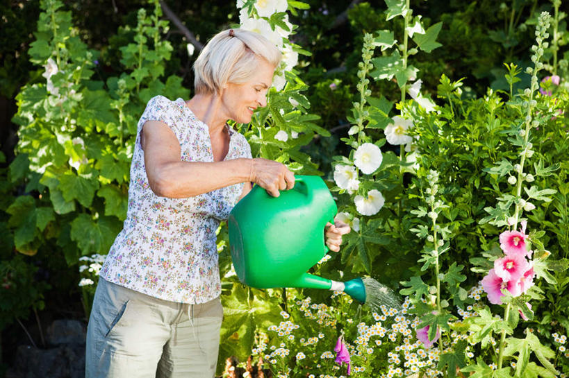西方人,一个人,站,举,横图,室外,白天,正面,花海,花圃,树林,植物,叶子,欧洲,欧洲人,仅一个女性,仅一个人,握,阴影,服装,盛开,光线,壶,影子,拿,花蕾,洒水壶,拿着,注视,休闲装,水壶,花,花瓣,花朵,花卉,鲜花,树,树木,一个,衣服,绿色,紫色,白色,阳光,自然,花丛,花束,花田,花苞,花蕊,低头,观察,看,托,站着,休闲,休闲服,握着,服饰,仅一个老年女性,生长,单个,成长,观看,察看,关注,浇水壶,老年女性,女人,女性,白种人,举起,举手,举着,向上举,向上伸,向上托,站立,半身,彩图