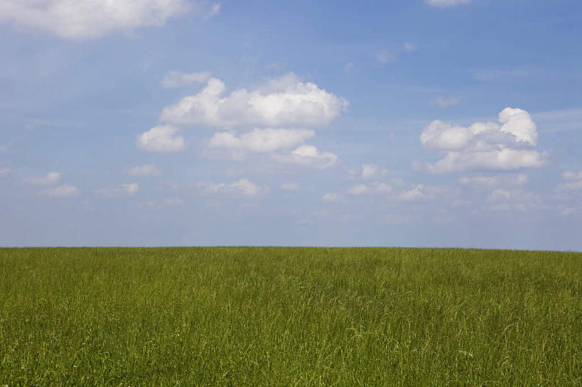 无人,横图,室外,白天,正面,旅游,度假,草地,草原,美景,植物,德国,欧洲,阴影,光线,影子,地平线,景观,旷野,云,云朵,辽阔,地面,云彩,娱乐,草,蓝色,绿色,白云,蓝天,天空,阳光,自然,天,享受,休闲,广阔,景色,放松,晴朗,一望无际,西欧,自然风光,原野,延伸,德意志联邦共和国,天地相交,巴伐利亚,巴伐利亚州,拜恩州,拜恩自由州,无边无际,一马平川,晴空,彩图