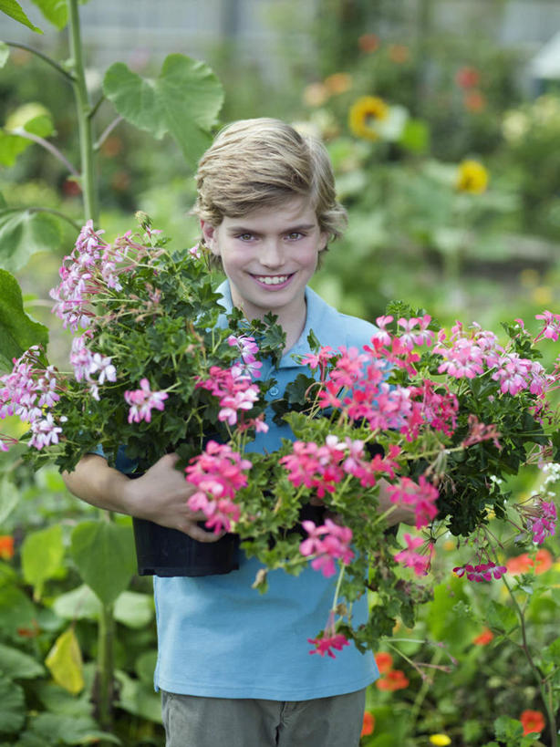 西方人,儿童,一个人,站,抱,笑,微笑,露齿笑,竖图,室外,白天,正面,纯洁,草地,草坪,植物,欧洲,欧洲人,仅一个男性,仅一个人,阴影,服装,朦胧,模糊,盛开,光线,影子,花蕾,注视,休闲装,草,花,花瓣,花朵,鲜花,树,树木,小孩,衣服,蓝色,绿色,阳光,自然,花苞,花蕊,观察,看,站着,仅一个小孩,休闲,休闲服,可爱,童年,童趣,服饰,生长,成长,抱着,观看,察看,搂着,关注,童真,烂漫,无邪,天真,男孩,男人,男性,白种人,孩子,搂,搂抱,站立,半身,彩图,男生