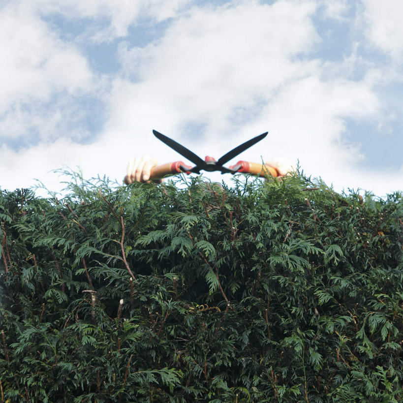 西方人,手,一个人,举,方图,室外,特写,白天,仰视,植物,欧洲,欧洲人,双手,仅一个男性,仅一个人,仅一个中年男性,一把,握,修剪,阴影,环保,光线,工具,剪刀,影子,云,云朵,防护,拿,云彩,拿着,树,树木,蓝色,绿色,白云,蓝天,天空,阳光,自然,天,托,手部,握着,生长,晴朗,成长,裁剪,剪子,剪裁,切割,美好,美妙,间隔,美观,雅观,绿篱,生篱,树篱,植篱,男人,男性,中年男性,白种人,晴空,举起,举手,举着,向上举,向上伸,向上托,半身,彩图,低角度拍摄