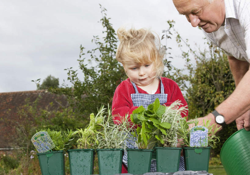 西方人,儿童,老年人,两个人,家庭,祖父,站,笑,微笑,横图,室外,白天,仰视,纯洁,草地,草坪,植物,欧洲,欧洲人,一排,一条,许多,弯腰,握,阴影,服装,朦胧,模糊,整齐,时间,光线,盆栽,时钟,手表,影子,墙,盆景,很多,拿,计时,拿着,注视,休闲装,墙壁,墙面,草,树,树木,排列,小孩,衣服,绿色,天空,阳光,自然,钟表,天,低头,观察,看,站着,休闲,温暖,温馨,一家人,休闲服,表,可爱,童年,童趣,握着,服饰,生长,晴朗,爷爷,成长,观看,祖孙,腕表,和睦,察看,队列,关注,童真,烂漫,无邪,外孙女,外公,外祖父,万里无云,弯身,垂头,天真,老年男性,男人,男性,女孩,白种人,孩子,孙女,钟,晴空,晴空万里,站立,半身,彩图,低角度拍摄,融洽,女生