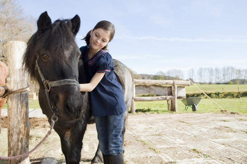 西方人,儿童,一个人,栏杆,站,笑,摸,微笑,露齿笑,横图,室外,白天,正面,纯洁,草地,草坪,植物,马,野生动物,欧洲,欧洲人,仅一个女性,仅一个人,抚摸,握,阴影,服装,光线,影子,云,云朵,围栏,拿,云彩,拿着,扭头,注视,休闲装,护栏,一匹,草,树,树木,小孩,衣服,蓝色,绿色,白云,蓝天,天空,阳光,自然,动物,天,观察,看,站着,转头,仅一个小孩,休闲,休闲服,可爱,童年,童趣,握着,运输,服饰,牲畜,生长,晴朗,成长,观看,察看,关注,童真,烂漫,无邪,天真,女孩,女人,女性,白种人,孩子,晴空,触摸,接触,站立,半身,彩图,女生