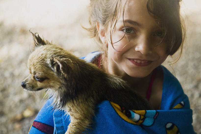 西方人,儿童,脸,头,脸颊,一个人,抱,笑,微笑,露齿笑,横图,室外,特写,白天,正面,纯洁,宠物,狗,欧洲,欧洲人,仅一个女性,仅一个人,朦胧,模糊,纺织物,注视,肩膀,一只,小孩,动物,毛巾,观察,看,清洁,仅一个小孩,金色,可爱,童年,童趣,抱着,观看,保暖,察看,搂着,关注,童真,透气,烂漫,无邪,防水,忠诚,储水,耐磨,吸水,天真,女孩,女人,女性,白种人,孩子,头部,卷发,脸部,脸蛋,面部,犬,搂,搂抱,半身,彩图,短发,女生