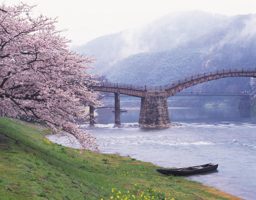 无人,横图,室外,白天,正面,旅游,度假,幸福,纯洁,草地,草坪,河流,美景,水,植物,桥梁,船,樱花,日本,亚洲,一艘,停靠,阴影,盛开,光线,影子,河水,景观,水流,桥,木船,花蕾,娱乐,石桥,拱桥,栈桥,草,花,花瓣,花朵,鲜花,粉色,蓝色,绿色,蓝天,天空,阳光,自然,交通工具,天,花苞,花蕊,享受,休闲,景色,放松,拱形,晴朗,等待,人行桥,石拱桥,舟,生命,停泊,自然风光,载具,东亚,本州,万里无云,本州岛,日本国,中国地方,仙樱花,福岛樱,青肤樱,山口,山口县,高尚,热烈,锦带桥,晴空,晴空万里,荆桃,彩图,岩国,岩国市