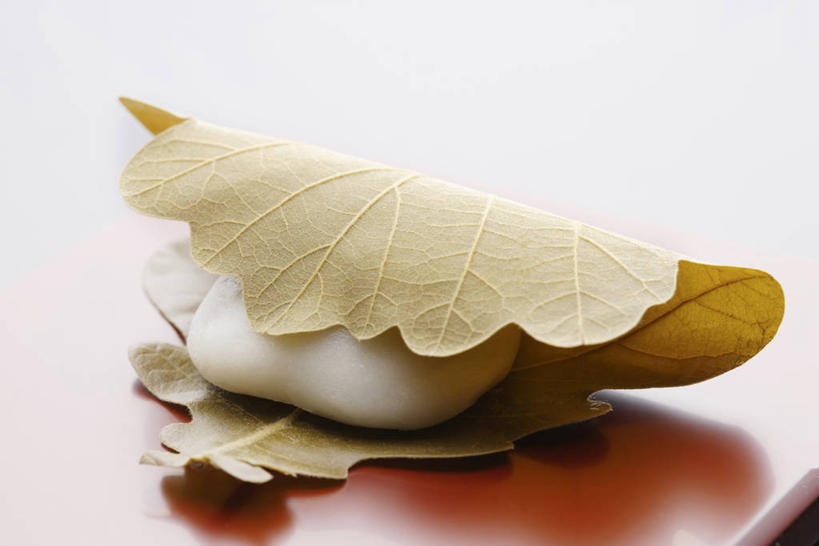 点心,无人,横图,俯视,室内,特写,白天,植物,餐桌,桌子,叶子,阴影,反射,木制,纹理,影子,和果子,食品,甜点,甜品,绿叶,小吃,食物,糕点,一个,绿色,木制品,甜食,日式,嫩叶,单个,餐台,草饼,肌理,麻糬,叶,叶片,叶脉,彩图,高角度拍摄,日本小吃