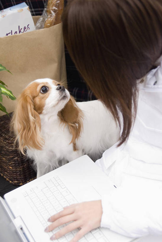 东方人,一个人,公园,坐,竖图,俯视,室外,白天,宠物,狗,袋子,新西兰,亚洲,仅一个年轻女性,仅一个女性,仅一个人,敲打,服装,朦胧,模糊,纸袋,休闲装,黄种人,输入,骑士查理王猎犬,一只,衣服,动物,容器,打字,低头,休闲,休闲服,可爱,服饰,储藏,点击,一台,敲击,国家公园,储存,大洋洲,纽西兰,垂头,长白云之乡,峡湾国家公园,查理士王小猎犬,查理王小猎犬,新西兰南岛,骑士查理王犬,按键,年轻女性,女人,女性,亚洲人,犬,坐着,半身,彩图,高角度拍摄,蒂阿瑙湖,贮存