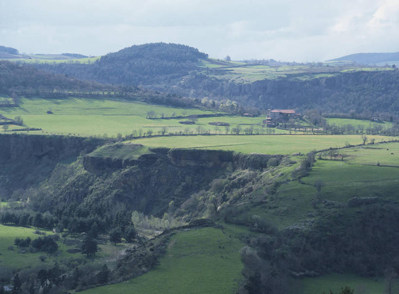 无人,农田,横图,俯视,室外,白天,旅游,度假,庄稼,农作物,草地,草坪,美景,树林,植物,法国,欧洲,阴影,光线,影子,景观,娱乐,草,树,树木,蓝色,绿色,蓝天,天空,阳光,自然,天,享受,休闲,景色,放松,生长,晴朗,成长,西欧,法兰西,自然风光,万里无云,法兰西共和国,法兰西第五共和国,奥弗涅,奥弗涅大区,晴空,晴空万里,彩图,高角度拍摄,耕地,庄稼田