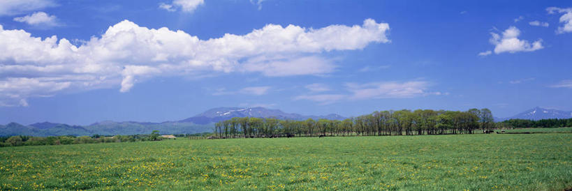 无人,横图,室外,白天,正面,旅游,度假,草地,草坪,美景,森林,山,山脉,树林,植物,北海道,日本,亚洲,阴影,光线,影子,景观,山峰,云,云朵,山峦,云彩,娱乐,草,树,树木,蓝色,绿色,白云,蓝天,天空,阳光,自然,群山,天,享受,休闲,景色,放松,生长,晴朗,成长,自然风光,东亚,日本国,北海道地方,北海道岛,道北,晴空,彩图,上川综合振兴局,振兴局,士别市