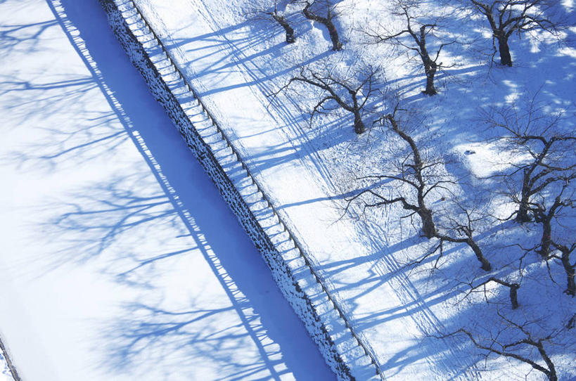 无人,横图,俯视,室外,白天,旅游,度假,美景,雪,植物,大雪,道路,路,北海道,日本,亚洲,积雪,景观,雪景,冬季,冬天,小路,交通,娱乐,树,树木,绿色,自然,享受,休闲,景色,放松,寒冷,生长,成长,自然风光,东亚,日本国,北海道地方,北海道岛,严寒,函馆,函馆市,彩图,高角度拍摄,龟田役所土垒,柳野城,五棱郭,五棱郭公园