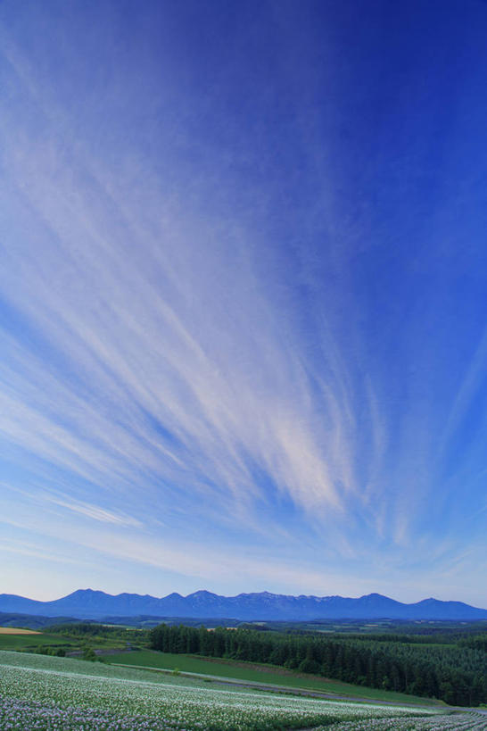 无人,竖图,室外,白天,仰视,旅游,度假,草地,草坪,美景,山,山脉,树林,植物,北海道,日本,亚洲,阴影,光线,影子,景观,山峰,云,云朵,山峦,云彩,娱乐,草,树,树木,蓝色,绿色,白云,蓝天,天空,阳光,自然,群山,天,享受,休闲,景色,放松,生长,晴朗,成长,自然风光,东亚,日本国,北海道地方,北海道岛,晴空,彩图,低角度拍摄,十胜综合振兴局,振兴局,道东