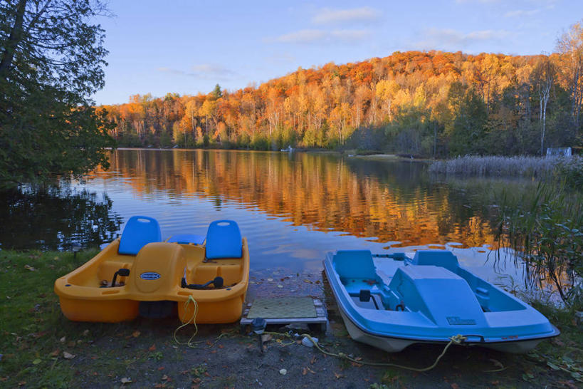 无人,横图,室外,白天,正面,旅游,度假,河流,美景,秋季,森林,树林,水,植物,船,叶子,加拿大,阴影,波纹,光线,影子,河水,景观,水流,云,云朵,枯叶,落叶,涟漪,两艘,云彩,娱乐,树,树木,蓝色,绿色,白云,倒影,蓝天,水纹,天空,阳光,自然,交通工具,波浪,天,享受,休闲,景色,放松,游乐设施,生长,晴朗,成长,倒映,北美,舟,北美洲,自然风光,载具,美洲,脚踏船,水晕,北亚美利加洲,亚美利加洲,反照,叶,叶片,晴空,秋,秋天,彩图