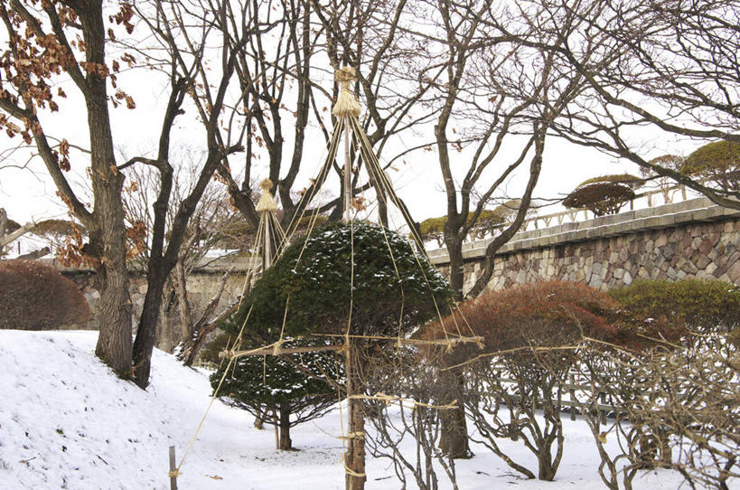 无人,横图,室外,白天,正面,旅游,度假,建材,河流,名胜古迹,水,雪,大雪,标志建筑,地标,建筑,北海道,日本,亚洲,阴影,遗迹,光线,材料,影子,砖,砖块,堡垒,城堡,墙,河水,积雪,水流,雪景,冬季,冬天,枝条,古迹,文物,娱乐,建设,古建筑,墙壁,墙面,树枝,倒影,天空,阳光,天,享受,休闲,砖头,旅游胜地,放松,寒冷,建造,倒映,要塞,古文明,东亚,日本国,北海道地方,北海道岛,严寒,函馆,函馆市,反照,虬枝,枝杈,设防,石料,彩图,砌墙砖,龟田役所土垒,函馆五棱郭,柳野城,五棱郭