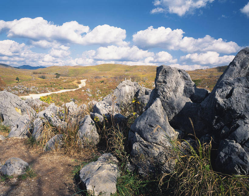 无人,横图,室外,白天,正面,旅游,度假,石头,美景,植物,日本,亚洲,阴影,枯萎,光线,石子,影子,景观,云,云朵,枯草,云彩,娱乐,草,黄色,蓝色,白云,蓝天,天空,阳光,自然,天,享受,休闲,景色,放松,晴朗,自然风光,东亚,本州,本州岛,日本国,中国地方,山口,山口县,石块,岩石,晴空,彩图,美祢,美祢市,秋吉台