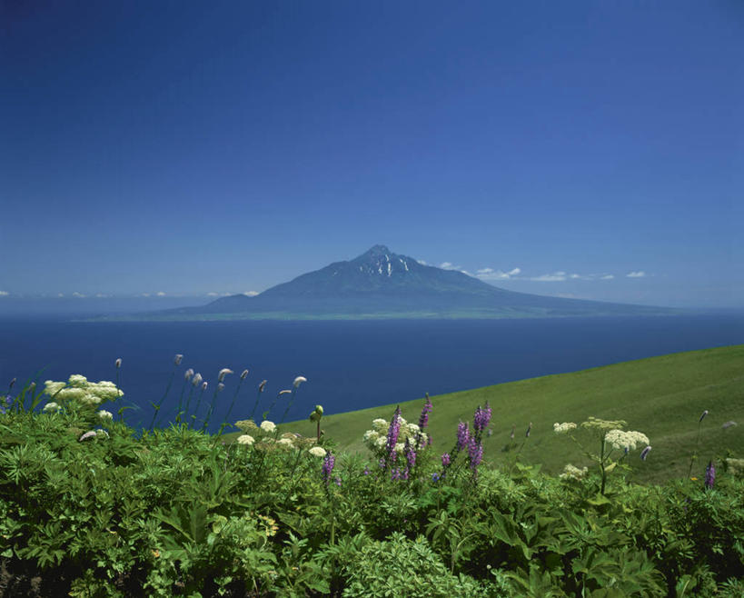 无人,横图,室外,白天,正面,旅游,度假,草地,草坪,海浪,海洋,美景,山,山脉,植物,北海道,日本,亚洲,阴影,盛开,光线,影子,景观,浪花,山峰,云,云朵,山峦,花蕾,云彩,娱乐,草,花,花瓣,花朵,鲜花,蓝色,绿色,白云,蓝天,天空,阳光,自然,海水,群山,天,花苞,花蕊,享受,休闲,景色,放松,晴朗,自然风光,海景,东亚,日本国,北海道地方,北海道岛,大海,风浪,海,海水的波动,近岸浪,涌浪,晴空,彩图,利尻岛