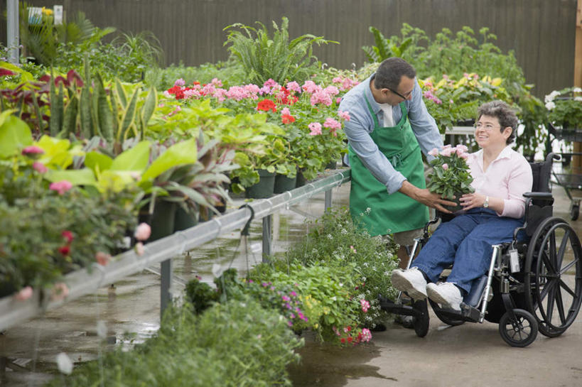 冲浪,西方人,两个人,病人,花商,花店,商店,站,坐,笑,微笑,露齿笑,室内,白天,正面,植物,叶子,欧洲,欧洲人,一副,握,服装,盛开,工具,盆栽,围裙,纹理,眼镜,绿叶,盆景,拿,花蕾,温室,拿着,注视,休闲装,商铺,顾客,花,花瓣,花朵,鲜花,衣服,绿色,自然,轮椅,花苞,花蕊,复健,观察,看,站着,休闲,康复,休闲服,器械,嫩叶,握着,服饰,设施,生长,成长,观看,察看,医疗设备,暖房,防寒,关注,加温,病患,医疗器械,透光,残疾,残疾人,医疗工具,近视眼镜,保温,伤残,肌理,辅助设备,残障,弱势群体,市肆,商号,主顾,男人,男性,女人,女性,中年男性,中年女性,白种人,花店老板,花贩,患者,就医者,卖花人,叶,叶片,叶脉,站立,坐着,彩图,全身,店铺