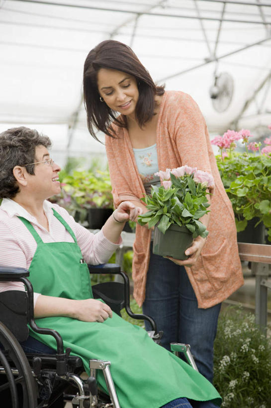 蝶泳,西方人,两个人,病人,花商,花店,商店,站,坐,说,室内,白天,正面,讨论,植物,叶子,欧洲,欧洲人,弯腰,握,服装,盛开,工具,盆栽,围裙,纹理,绿叶,盆景,拿,花蕾,温室,拿着,注视,休闲装,商铺,顾客,花,花瓣,花朵,鲜花,衣服,绿色,自然,轮椅,花苞,花蕊,复健,观察,看,站着,休闲,康复,休闲服,器械,嫩叶,握着,服饰,设施,生长,成长,观看,察看,医疗设备,暖房,防寒,关注,加温,病患,医疗器械,透光,残疾,残疾人,医疗工具,保温,伤残,肌理,弯身,辅助设备,残障,弱势群体,市肆,商号,主顾,交流,女人,女性,中年女性,白种人,花店老板,花贩,患者,就医者,卖花人,叶,叶片,叶脉,沟通,讲话,交谈,商讨,说话,谈话,站立,坐着,半身,彩图,店铺