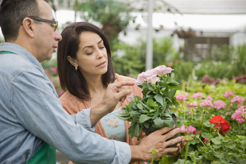 冲浪,西方人,两个人,花商,花店,商店,站,室内,白天,正面,植物,叶子,欧洲,欧洲人,一副,握,服装,朦胧,模糊,盛开,盆栽,围裙,纹理,眼镜,绿叶,盆景,拿,花蕾,温室,拿着,注视,休闲装,商铺,顾客,花,花瓣,花朵,鲜花,衣服,绿色,自然,花苞,花蕊,观察,看,站着,休闲,休闲服,嫩叶,握着,服饰,设施,生长,成长,观看,察看,暖房,防寒,关注,加温,透光,近视眼镜,保温,肌理,市肆,商号,主顾,男人,男性,女人,女性,中年男性,中年女性,白种人,花店老板,花贩,卖花人,叶,叶片,叶脉,站立,半身,彩图,店铺