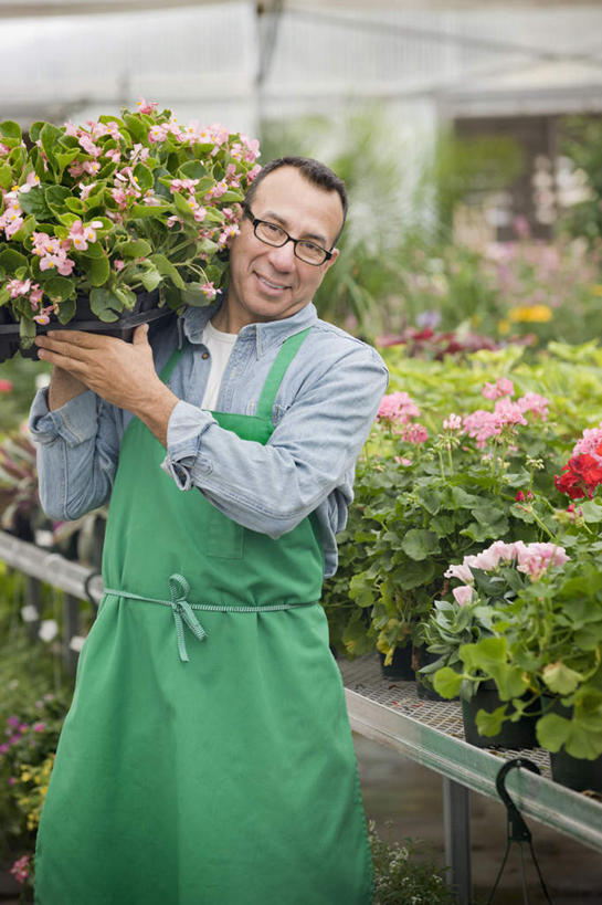 蝶泳,西方人,一个人,花商,花店,商店,站,室内,白天,正面,植物,叶子,欧洲,欧洲人,仅一个男性,仅一个人,仅一个中年男性,一副,服装,盛开,盆栽,围裙,纹理,眼镜,绿叶,盆景,花蕾,温室,注视,休闲装,商铺,花,花瓣,花朵,鲜花,衣服,绿色,自然,花苞,花蕊,观察,看,扛,站着,休闲,休闲服,嫩叶,服饰,设施,生长,成长,观看,察看,暖房,防寒,关注,加温,透光,近视眼镜,保温,肌理,市肆,商号,扛在肩上,男人,男性,中年男性,白种人,花店老板,花贩,卖花人,叶,叶片,叶脉,站立,半身,彩图,店铺