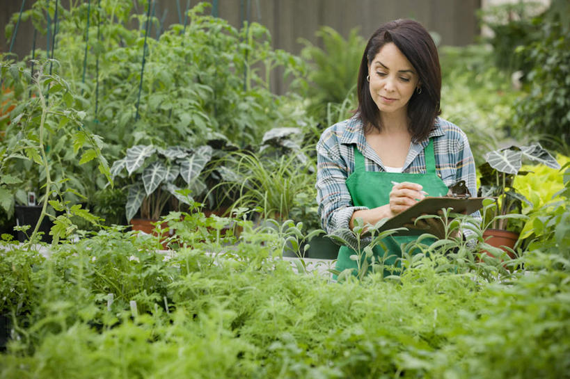 冲浪,西方人,一个人,花商,花店,商店,站,室内,白天,正面,植物,叶子,欧洲,欧洲人,仅一个女性,仅一个人,握,服装,笔,材料,档案,盆栽,围裙,文件,纹理,纸,绿叶,办公用品,盆景,拿,温室,拿着,注视,休闲装,商铺,水笔,文具,衣服,绿色,自然,手稿,学习用品,资料,低头,观察,看,站着,仅一个中年女性,休闲,休闲服,嫩叶,握着,服饰,设施,生长,成长,观看,文具用品,证明,察看,暖房,书写,防寒,关注,加温,文档,透光,保温,肌理,垂头,市肆,商号,女人,女性,中年女性,白种人,花店老板,花贩,卖花人,叶,叶片,叶脉,站立,半身,彩图,店铺