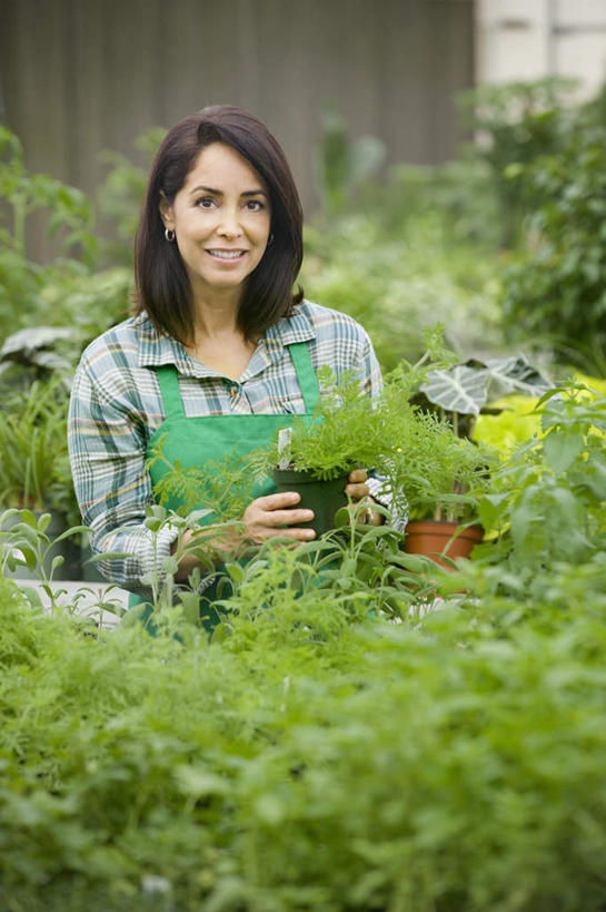 蝶泳,西方人,一个人,花商,花店,商店,站,笑,微笑,露齿笑,室内,白天,正面,植物,叶子,欧洲,欧洲人,仅一个女性,仅一个人,握,服装,盆栽,围裙,纹理,绿叶,盆景,拿,温室,拿着,注视,休闲装,商铺,衣服,绿色,自然,观察,看,站着,仅一个中年女性,休闲,休闲服,嫩叶,握着,服饰,设施,生长,成长,观看,察看,暖房,防寒,关注,加温,透光,保温,肌理,市肆,商号,女人,女性,中年女性,白种人,花店老板,花贩,卖花人,叶,叶片,叶脉,站立,半身,彩图,店铺