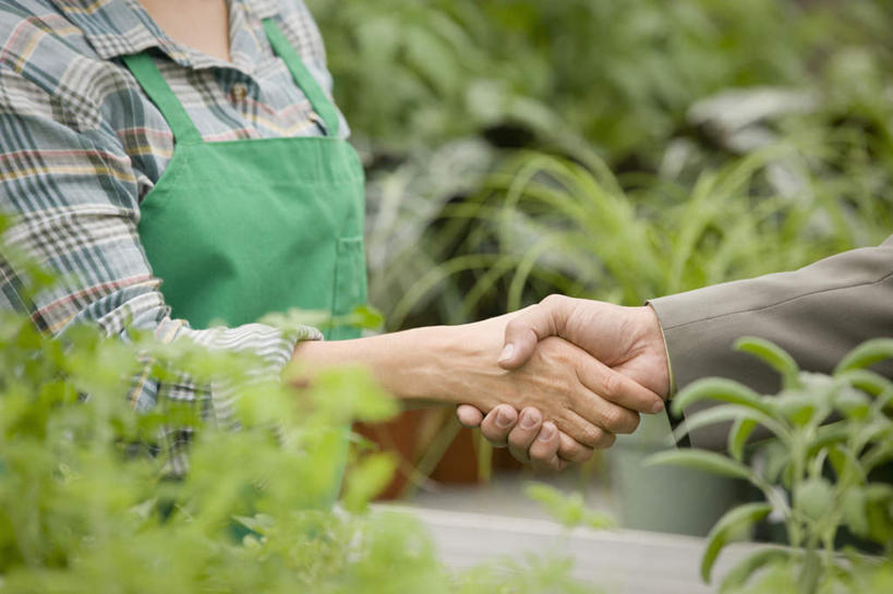 冲浪,西方人,两个人,商务人士,花商,商务男性,花店,商店,站,握手,室内,白天,侧面,衬衫,植物,叶子,欧洲,欧洲人,套装,服装,朦胧,模糊,盆栽,围裙,纹理,绿叶,盆景,温室,休闲装,商铺,衣服,绿色,自然,站着,休闲,休闲服,嫩叶,服饰,设施,生长,成长,暖房,防寒,加温,商务装,透光,保温,工薪阶层,肌理,市肆,商号,男人,男性,女人,女性,中年男性,中年女性,白种人,白领,花店老板,花贩,卖花人,上班族,叶,叶片,叶脉,搀手,拉手,手搀手,手拉手,手牵手,手握手,站立,半身,彩图,衬衣,店铺