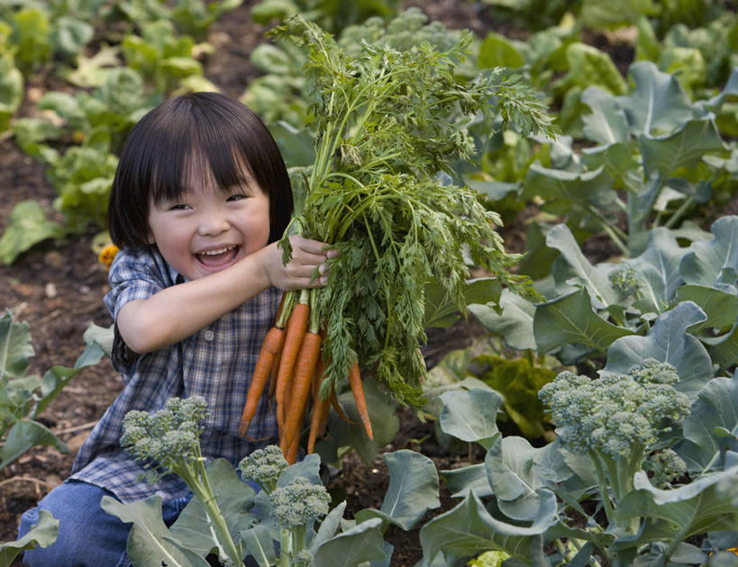 东方人,儿童,一个人,农田,坐,举,笑,微笑,露齿笑,横图,室外,白天,正面,纯洁,庄稼,农作物,萝卜,胡萝卜,蔬菜,叶子,亚洲,仅一个男性,仅一个人,握,阴影,服装,丰富,丰收,新鲜,光线,影子,食品,绿叶,丰盛,注视,休闲装,黄种人,食物,小孩,衣服,阳光,观察,看,托,仅一个小孩,休闲,休闲服,嫩叶,可爱,童年,童趣,握着,服饰,有机食品,绿色食品,观看,察看,关注,童真,烂漫,无邪,丰登,丰硕,天真,男孩,男人,男性,亚洲人,孩子,叶,叶片,红萝卜,甘荀,举起,举手,举着,向上举,向上伸,向上托,坐着,半身,彩图,耕地,庄稼田,男生