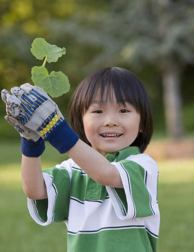 东方人,儿童,一个人,站,举,捧,笑,微笑,露齿笑,竖图,室外,白天,正面,纯洁,安全,草地,草坪,植物,叶子,亚洲,仅一个男性,仅一个人,阴影,服装,朦胧,模糊,光线,影子,绿叶,防护,注视,休闲装,黄种人,草,树,树木,小孩,衣服,绿色,阳光,自然,手套,观察,看,托,站着,仅一个小孩,休闲,休闲服,嫩叶,可爱,童年,童趣,服饰,生长,成长,观看,保护,察看,关注,保险,童真,烂漫,无邪,保全,周全,安稳,安定,防护手套,平安,天真,男孩,男人,男性,亚洲人,孩子,叶,叶片,端,端着,举起,举手,举着,捧着,手捧,向上举,向上伸,向上托,站立,半身,彩图,男生