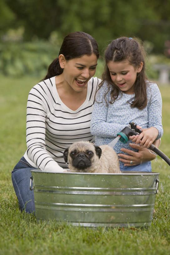 西方人,儿童,中年人,两个人,家庭,母亲,女儿,蹲,笑,微笑,露齿笑,竖图,室外,白天,正面,洗澡,纯洁,草地,草坪,水,植物,宠物,狗,欧洲,欧洲人,阴影,飞溅,服装,朦胧,模糊,溅,光线,铁桶,桶,液体,影子,水滴,注视,休闲装,干净,水珠,草,树,树木,一只,小孩,衣服,绿色,阳光,自然,动物,容器,观察,看,清洁,享受,休闲,健康,温暖,温馨,母女,一家人,休闲服,放松,可爱,母爱,童年,童趣,保健,服饰,哈巴狗,生长,成长,观看,储藏,和睦,察看,卫生,储存,关注,喷洒,童真,烂漫,无邪,忠诚,巴哥,巴哥犬,泡汤,天真,女孩,女人,女性,中年女性,白种人,孩子,犬,蹲着,彩图,全身,沐浴,融洽,贮存,女生