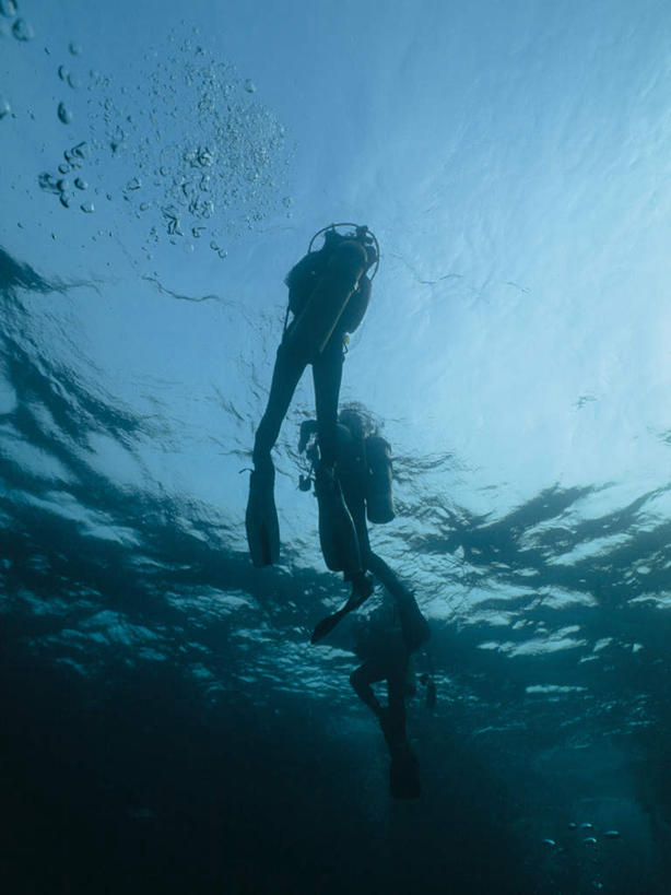 游泳,东方人,两个人,伙伴,朋友,竖图,室外,白天,仰视,锻炼,友谊,运动,合作,团队,海底,水下,海浪,海洋,亚洲,潜水员,服装,潜水镜,泳镜,浪花,水底,注视,黄种人,衣服,海水,观察,看,蛙鞋,氧气罩,战略,海底世界,潜水服,潜水,服饰,观看,脚蹼,呼吸管,察看,衣着,穿着,关注,潜水装备,海景,面镜,浮潜,潜水运动,联合,合谋,衣饰,水中呼吸器,配合,体育,协作,年轻女性,女人,女性,亚洲人,大海,风浪,海,海床,海水的波动,近岸浪,涌浪,半身,彩图,低角度拍摄,健身,湿式潜水服