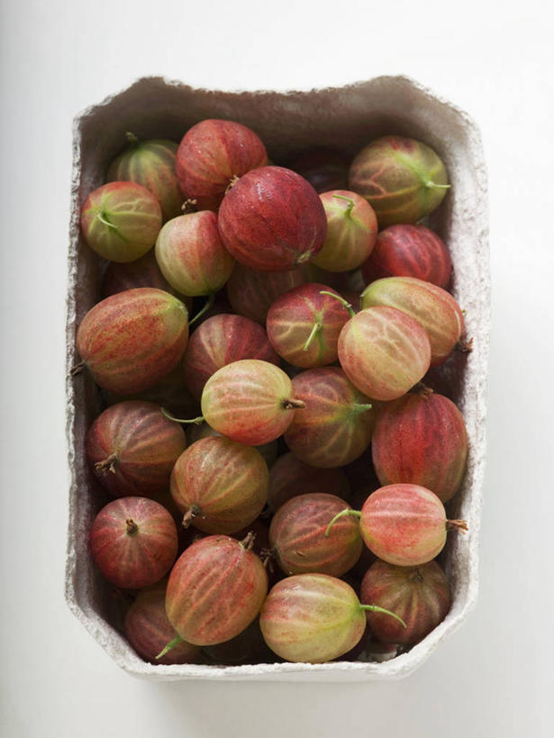 无人,竖图,俯视,室内,特写,白天,白色背景,餐桌,桌子,浆果,水果,一堆,许多,阴影,堆叠,堆积,新鲜,反射,影子,纸盒,生食,食品,果实,很多,盒子,食物,一个,包装盒,容器,摄影,有机食品,绿色食品,影棚,单个,餐台,储藏,堆,储存,穗醋栗,醋栗,彩图,高角度拍摄,影棚拍摄,拍摄,贮存